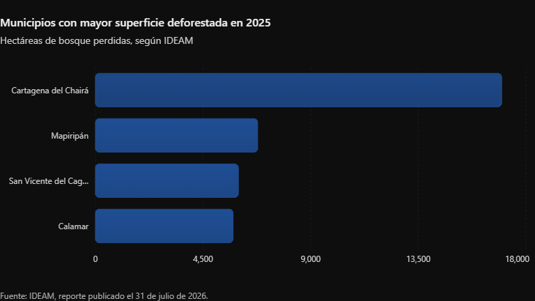 Municipios con mayor superficie deforestada en 2025